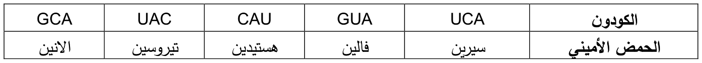شكل السؤال ١