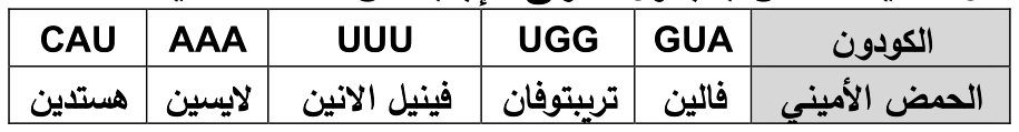 شكل السؤال ٤