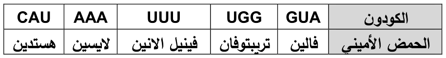 شكل السؤال ٤