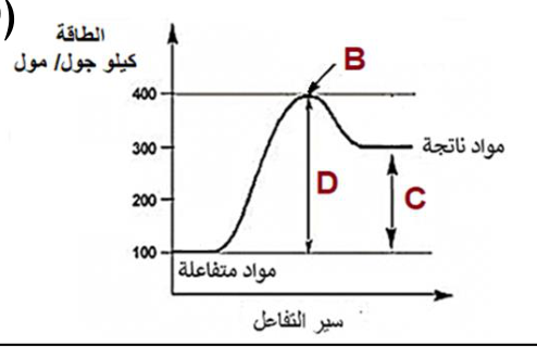 شكل السؤال ٢