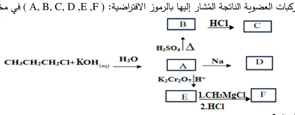 شكل السؤال ١