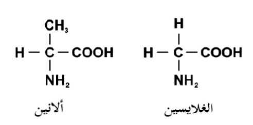 شكل السؤال ١
